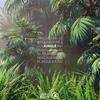 Jungle - NOIXES&Gidexen