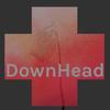 DownHead - 王云宏