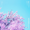 Chances - Ennex&Edgar Sandoval Jr