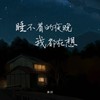 睡不着的夜晚我都在想 - 冰洁