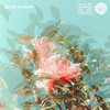 Early Bird - LXPSE&Kilohertz