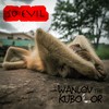 So Evil - Wanlov the Kubolor