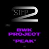 Peak (Original Mix) - BWK Project