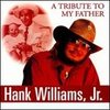 If You Don't Like Hank Williams - Hank Williams JR.