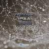 Inner Spirit - Paul Psr Ryder&VM18&Duologic