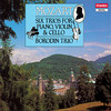 III. Allegretto - Borodin Trio&Wolfgang Amadeus Mozart