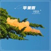 世上没有遮天树 - 辛禄乐队