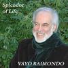 Splendor of Life - Vayo Raimondo