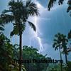 Tropical Thunderstorm - Rain King&Rainy Day&Stormy Nightz