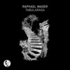 Escalate (Senses Of Mind Remix) - Raphael Mader&Senses of Mind