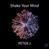 Shake Your Mind - Peter J