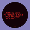 I won't cry no more - Anthony Louis&Mr Maph