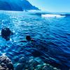 Swimming in my Conscience (Explicit) - GVO Flacko