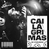 Cai Lágrimas - MC Douglinhas&DJ Vini