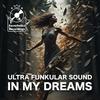 In My Dreams (feat. Ultra Funkular Sound) - The Raverholics Family&Ultra Funkular Sound