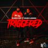TRIGGERED (feat. Krush) (Explicit) - Whiske XMP&Krush