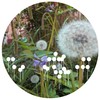 Need Love (Henry L Remix) - Urban Absolutes&Paskal