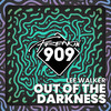 Out Of The Darkness (Radio Mix) - Lee Walker