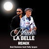 Black La Belle (Remix) - Bozi Boziana&Fally Ipupa