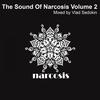 Soulful House (Remix) - Seirious