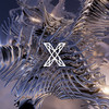 The Echo - Adriatique&The Element MT&Adrian Shala&Adrian Schweizer&Sean Sammut