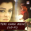 Teri Chah Mein (Lo-Fi) - Farhan Saeed