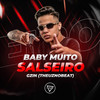 Baby Muito Salseiro - Gzin&TheuzNoBeat