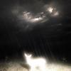 **** The World (Explicit) - D3mo