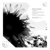 Space For You (Steve Mill Remix) - Evren Ulusoy&Steve Mill
