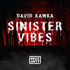 Sinister Vibes - David Kawka