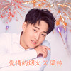 爱情的烟火 (DJ默涵版) - 梁帅