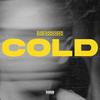 COLD (Radio Edit) - SURFGANGGEEK