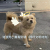 人类呀爱我吧（说唱版） - 风范