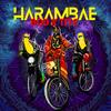Kilifi (feat. Ziller Bas, Tite & FlexFab) - Bananasoverdose&Ziller Bas&Tite&Flexfab