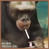 爬行動物 - 老路&光爹