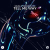 Tell Me Why - Gelida&Trenom&Lynx