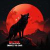 Embrace The Chaos - Nazgul