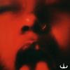 Sentir - WEVLTH