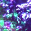 Bliss - Aeriu Ika&blushʕ ꈍᴥꈍʔ