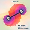 Higher (Radio Edit) - T & Sugah