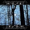IN THE EVENING (Explicit) - Undertxker
