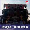 DJ Bojo biduan RIN -INST - DJ Protons