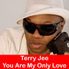 You Are My Only Love (Radio Edit) - Terry Jee