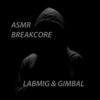 ASMR Breakcore (Explicit) - Labmig&Gimbal