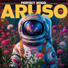 Perfect Mood - Aruso