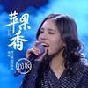 苹果香 (DJ阿卓版) - 黑大婶回乡带娃