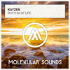 Rhythm of Life - Kayzen