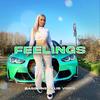 Feelings (feat. DMC, Tyler0112 & Headrow) - Bassline Club Vibes&DMC&tyler0112&Headrow