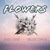 Flowers - João José