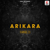 Arikara (Original Mix) - HANSEL D